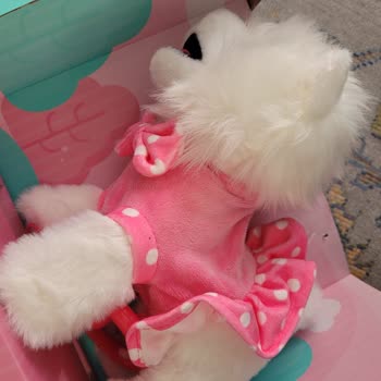 Hatalı Ürün Ve İade Sorunu: Oyuncak Köpek Şikayeti