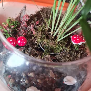Çiçek Sepeti'nden Gelen Teraryum Hayal Kırıklığı