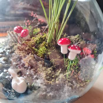 Çiçek Sepeti'nden Gelen Teraryum Hayal Kırıklığı