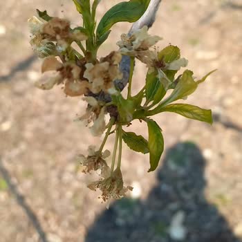 Don Sigortası Ve Exper Değerlendirmesi Hakkında Şikayet