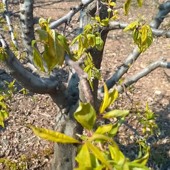 Don Sigortası Ve Exper Değerlendirmesi Hakkında Şikayet