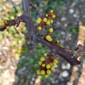 Don Sigortası Ve Exper Değerlendirmesi Hakkında Şikayet