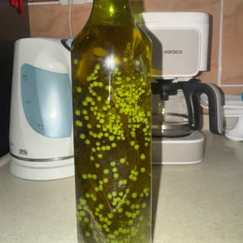 BİM'den Alınan Zeytinyağında Beklenmedik Küflenme Sorunu