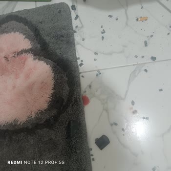 Tekno Duş Garanti Kapsamındaki Duşakabin Patladı Ve Ücret Talep Edildi!