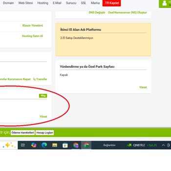Natro Hosting İle DNS Yönlendirme Sorunu