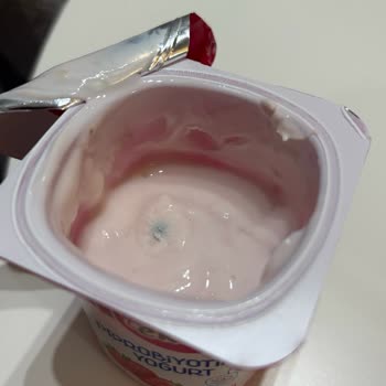 Küflü Probiyotik Yoğurt Şoku