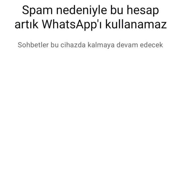 WhatsApp Erişim Sorunu Ve İletişim Kesintisi