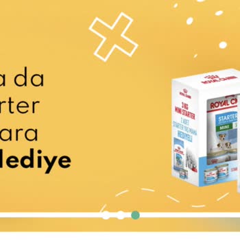 Zoompet'ten Sipariş Sonrası İletişim Sorunu