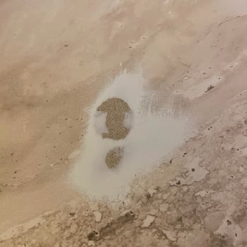 Aysan Mobilya Alışverişten Sonra Sorunlar Silsilesi Başladı