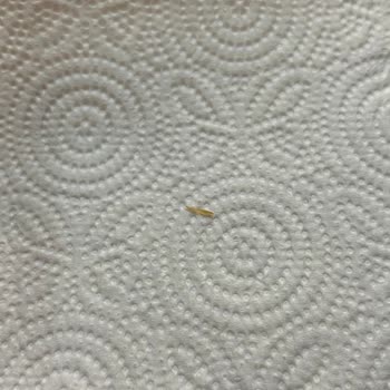 Ülker Saklıköy Ürünü Güvenli Mi?