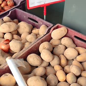 A101 Mağazasında Kalitesiz Ürün Sorunu