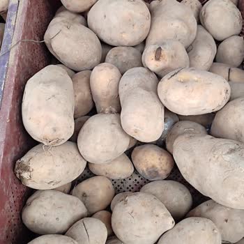 A101 Mağazasında Kalitesiz Ürün Sorunu