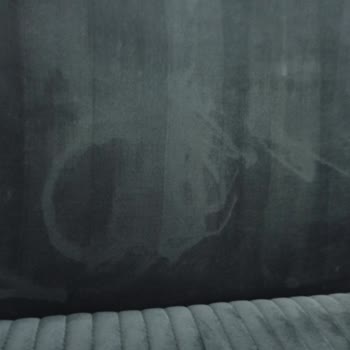 Koltuk Yıkama Ürünü Renk Açılması Sorunu