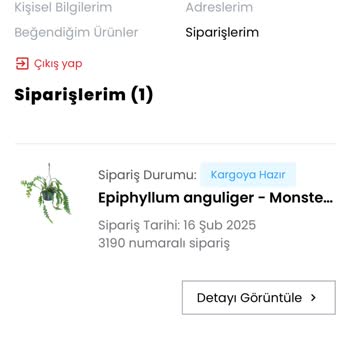Sipariş Sonrası İletişimsizlik Ve Teslimat Sorunu