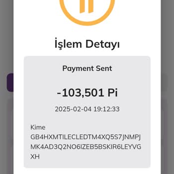 Pi Network Hesabımdan İzinsiz Transfer Skandalı