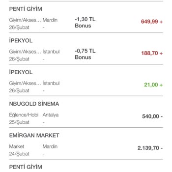 Biletinbu.com'da Satın Alınan Biletlerin Geçersizliği Sorunu