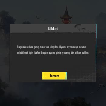 Elitrandom.com'dan Aldığım Hesaplar Hayal Kırıklığı Yarattı