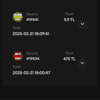 Elitrandom.com'dan Aldığım Hesaplar Hayal Kırıklığı Yarattı