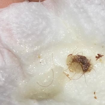 Çorba Alırken Güven Sarsıldı