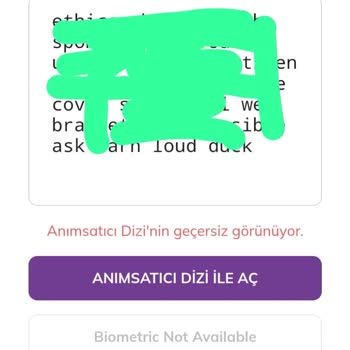 Pi Network Cüzdan Erişim Sorunu Ve Kayıp Endişesi