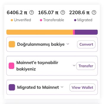 Pi Network Cüzdan Erişim Sorunu Ve Kayıp Endişesi