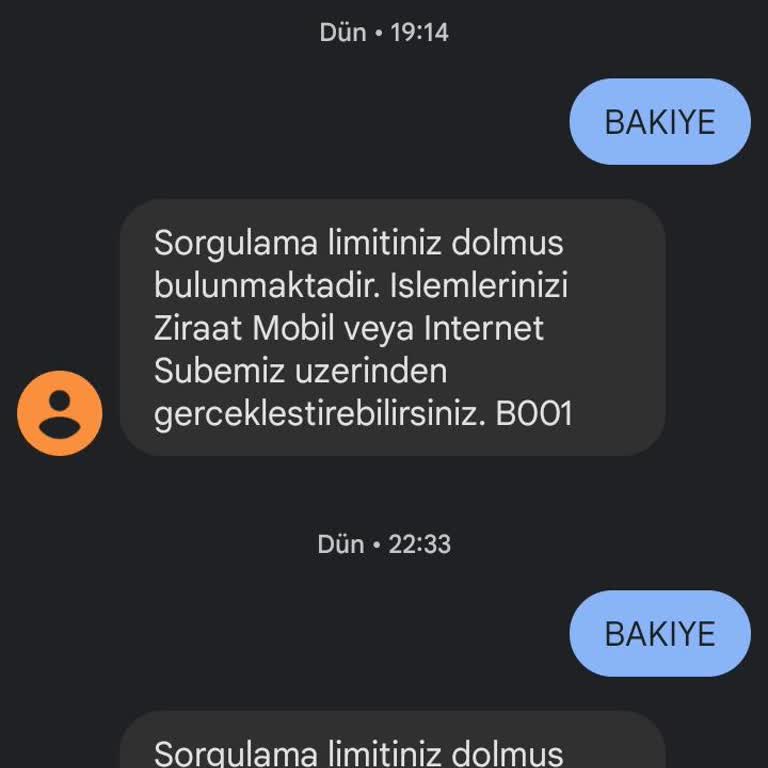 Bakiye Sorgulama Limiti Sorunu: İnternet Bankacılığı Olmadan Çözüm Arayışı