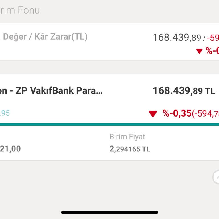 Para Piyasası Fonunda Ani Zarar Şoku