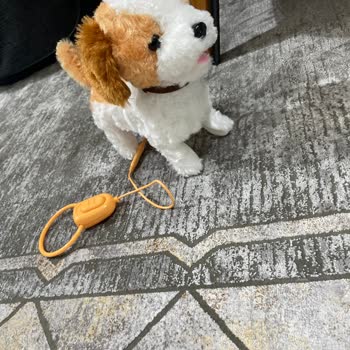 Oyuncak Köpeğin Bozulması Ve Yetersiz Destek