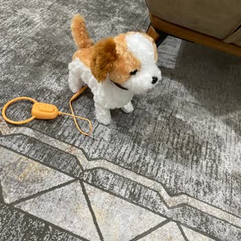 Oyuncak Köpeğin Bozulması Ve Yetersiz Destek