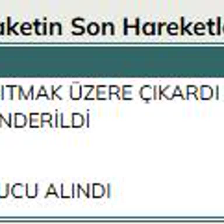 UPS İzmir'de Pasaport Teslimatı Sorunu
