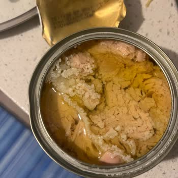 Bozuk Dardanel Ton Balığı Ürünleri Mağduriyeti