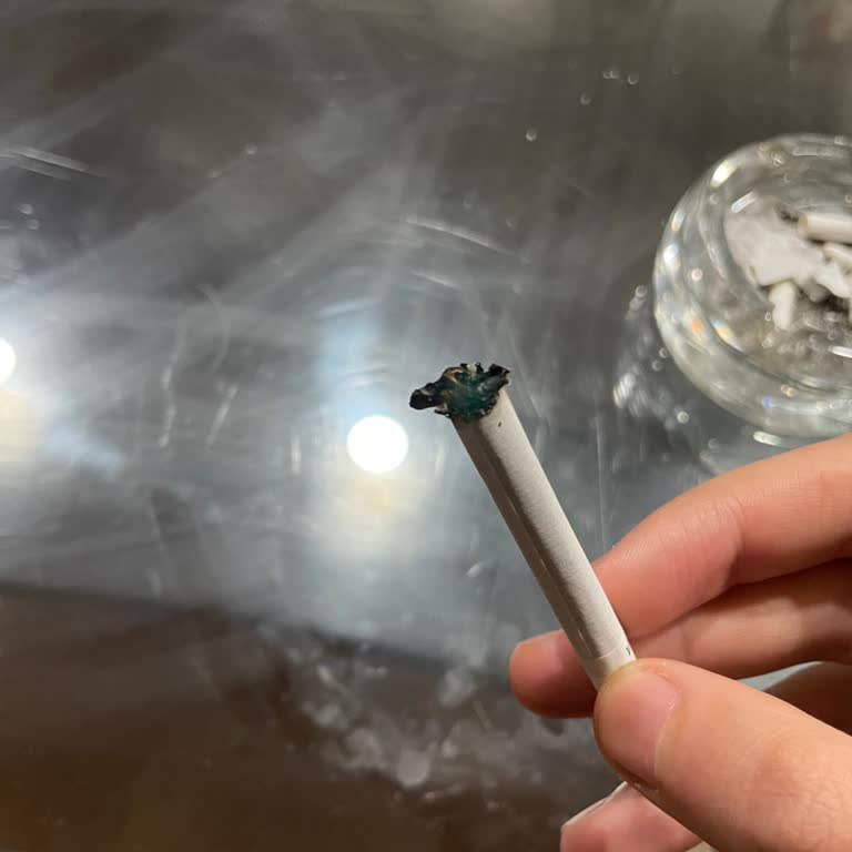 Parliament Kısa'da Yanma Ve Kalite Sorunu