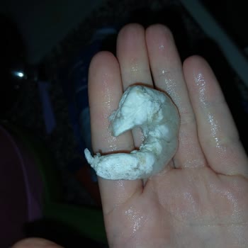 Dardanel Karideslerinde Kalite Sorunu