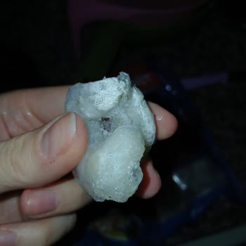 Dardanel Karideslerinde Kalite Sorunu