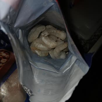 Dardanel Karideslerinde Kalite Sorunu