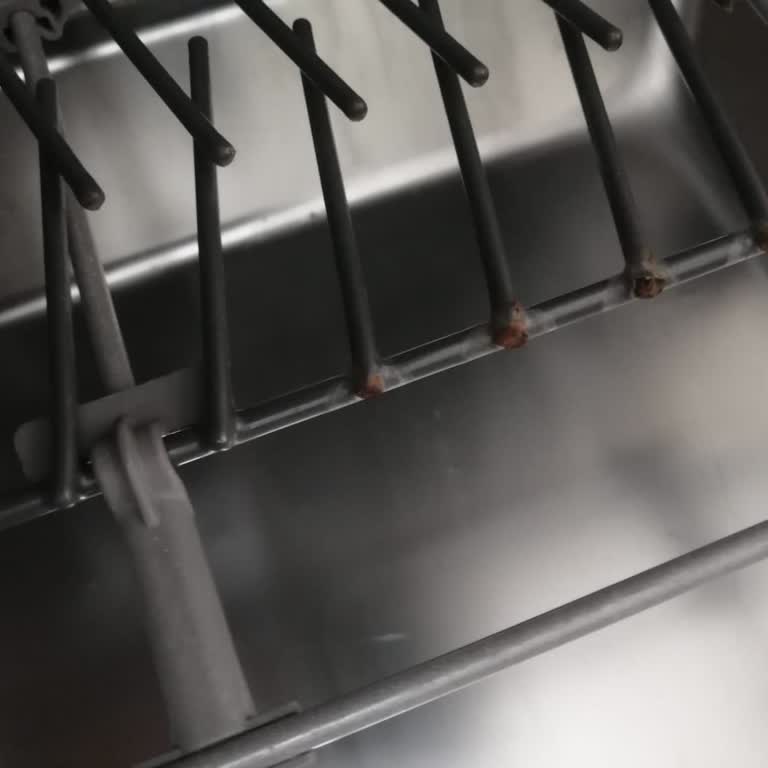 Beko Bulaşık Makinesi Sepetinde Küflenme Sorunu