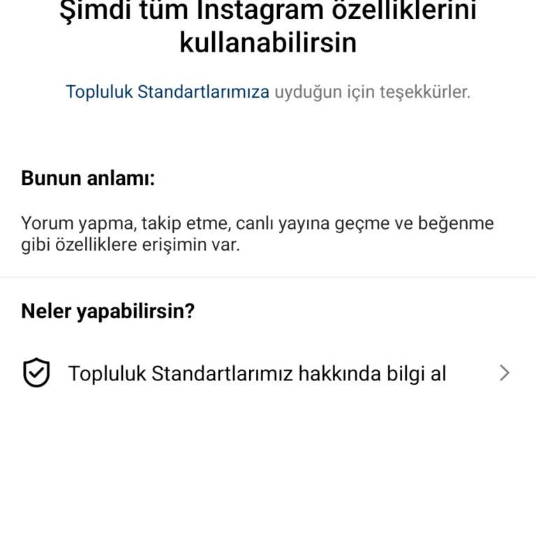 Instagram Kısıtlaması: Yeşil Tik Var, Erişim Yok!