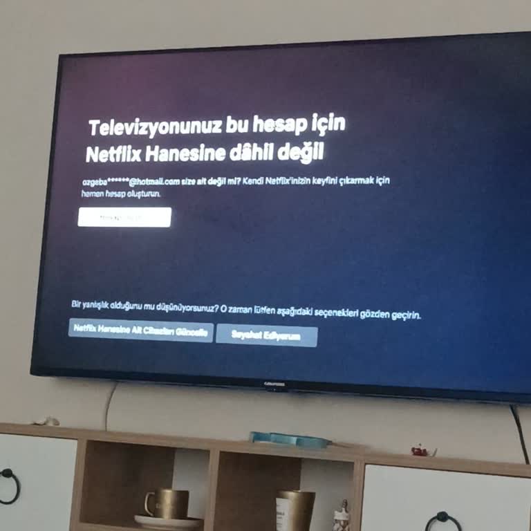 Netflix Cihaz Giriş Sorunu Yine Karşımda