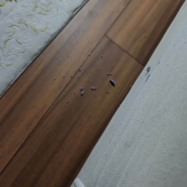 Penti Pijamalarda Kalite Düşüşü Ve Evde Dağılan Doku Parçaları