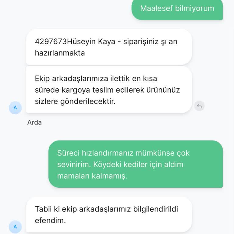 Kediler İçin Verilmeyen Mama Siparişi