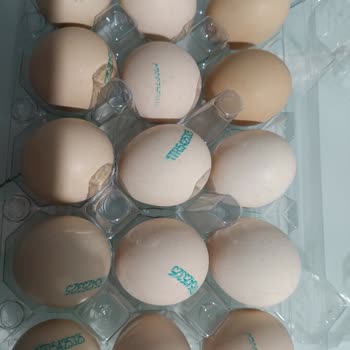 Haksız Yumurta Ücreti Ve Şaşırtıcı Mağaza Deneyimi