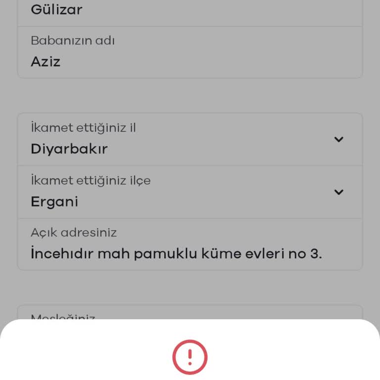Kimlik Doğrulama Sorunu Ve Bilgi Talebi