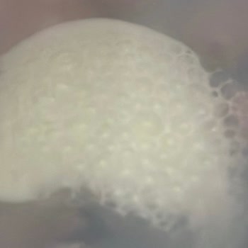 Aptamil Pronutra Mama Köpürme Sorunu