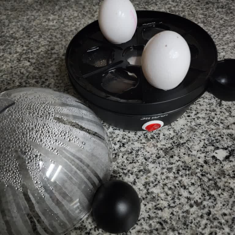 Sinbo Yumurta Pişirici Alarm Sorunu: Çözüm Bekliyorum