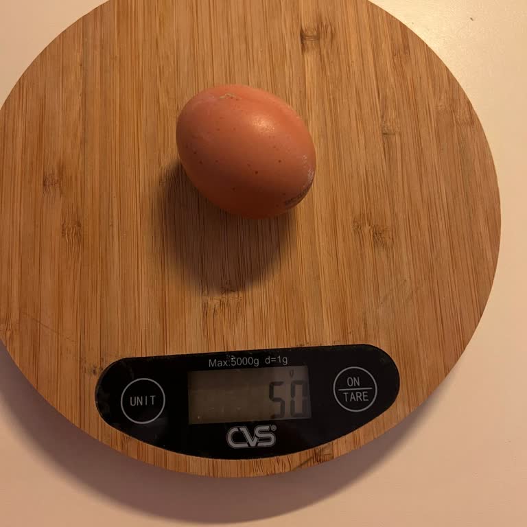 Organik Yumurtalarda Boyut Sorunu