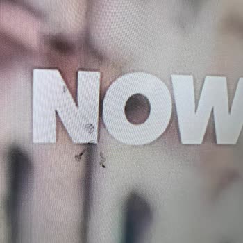 Televizyon Ekranında Sinek Sorunu