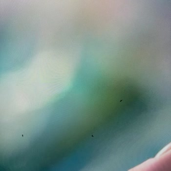 Televizyon Ekranında Sinek Sorunu