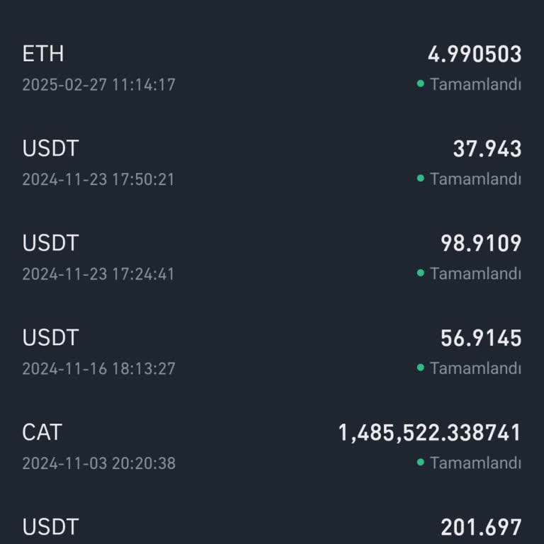 Binance TR Güven Kaybı: Beş Yıllık Birikim Buhar Oldu