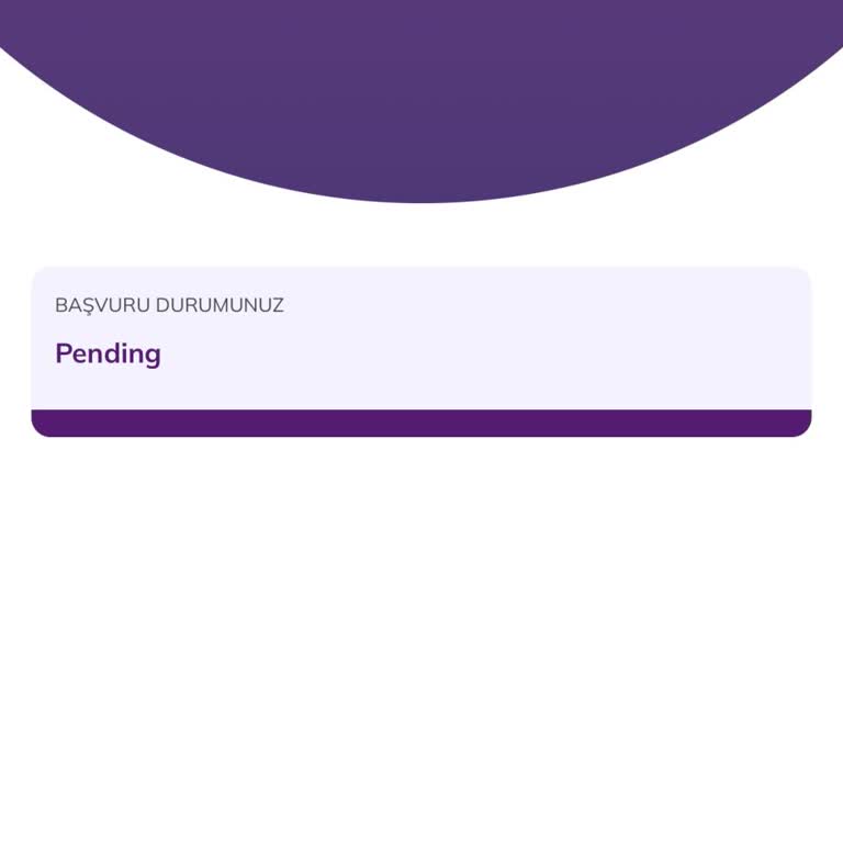 Pi Network Kyc Kaydım Neden Askıda?