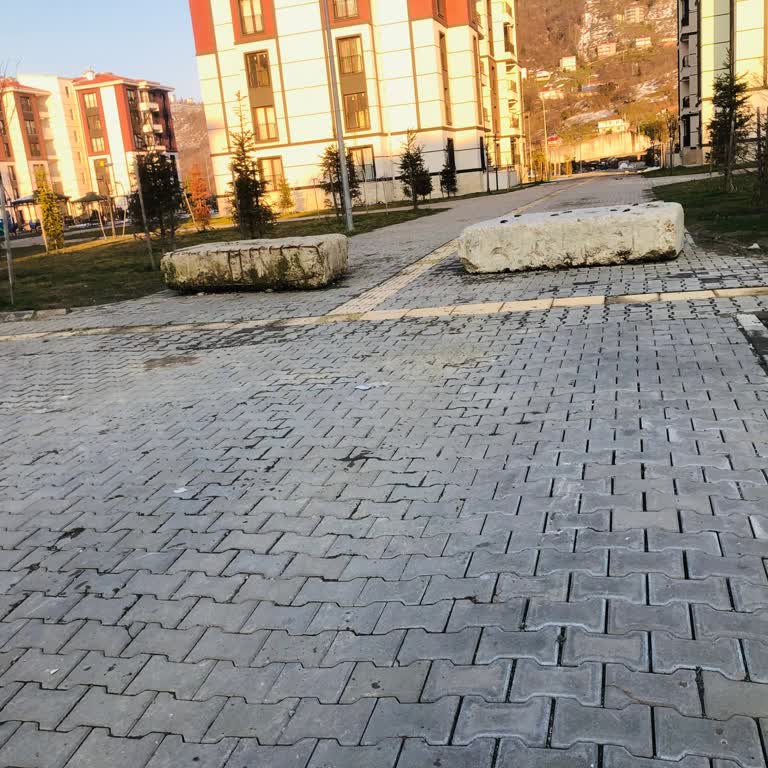 Giresun TOKİ'de Ulaşım Ve Güvenlik Sorunları